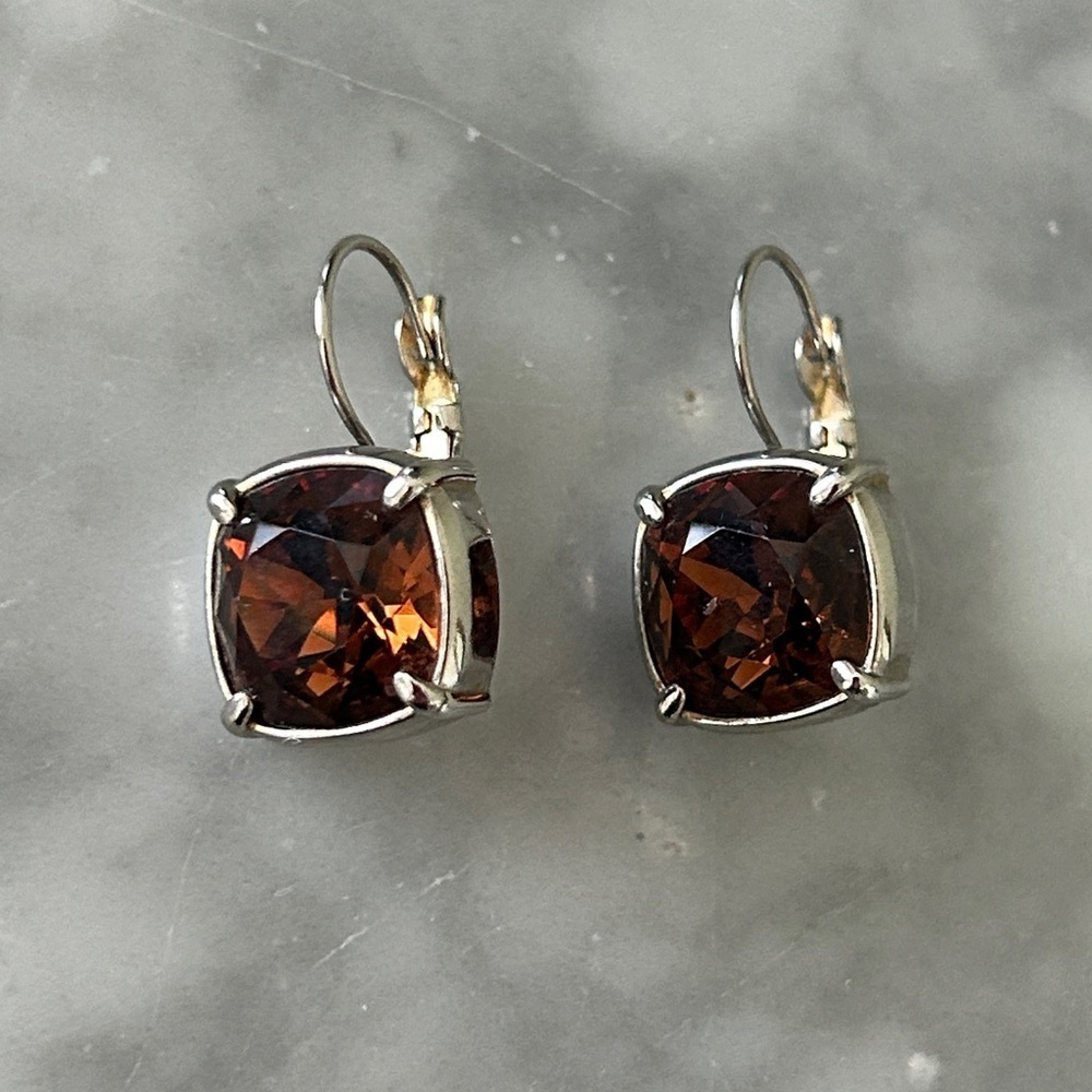 Chic Silver and Brown Crystal Earrings - Picture 4 of 6